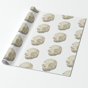 Papel De Regalo Cat Skull