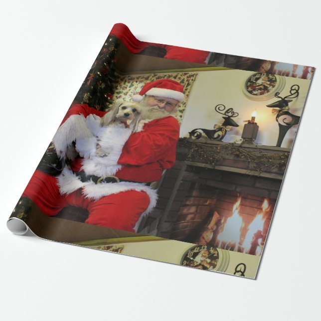 Papel De Regalo Cauchutoso y Santa (Desenrollado)