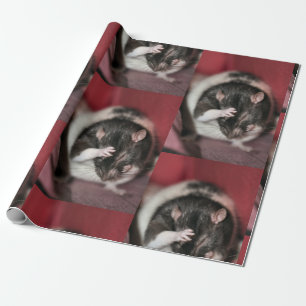 Papel De Regalo Cefalea