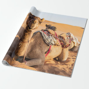 Papel De Regalo Cerco sobre camello en el desierto de Omán