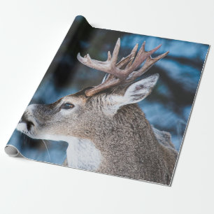 PAPEL DE REGALO CERDO MARRÓN EN LENTES DE SELECCIÓN INCLINADAS