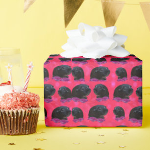 Papel De Regalo Cerdos De Guinea Negra Sobre Rosas Rosa De Bonito