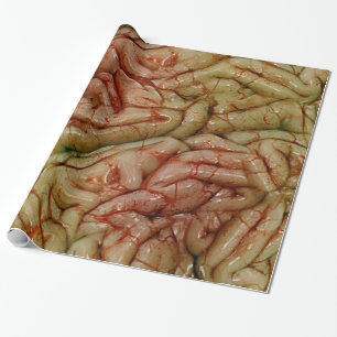 Papel De Regalo Cerebros, BrainZZ BRAINZZ