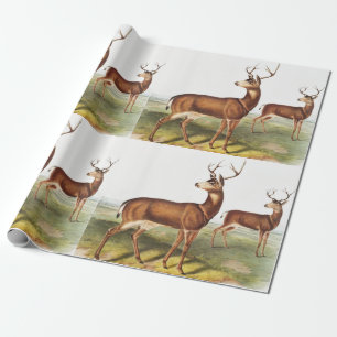 Papel De Regalo Cervus Richardsonii (Cervus Richardsonii)