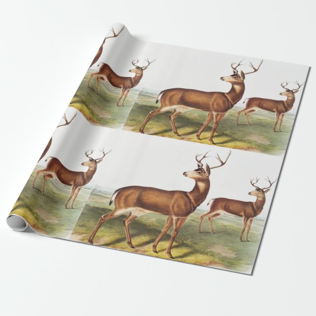 Papel De Regalo Cervus Richardsonii (Cervus Richardsonii) (Desenrollado)