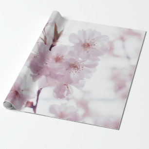 PAPEL DE REGALO CHERRY BLOSSOMS FLOWERS