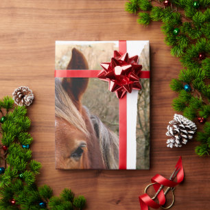 PAPEL DE REGALO CHESTNUT HORSE