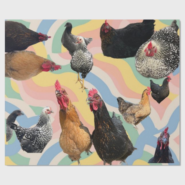 Papel De Regalo Chicken Mania 2 All Occasion Wrapping Paper (Superficie plana)