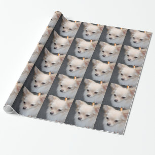 Papel De Regalo Chihuahua