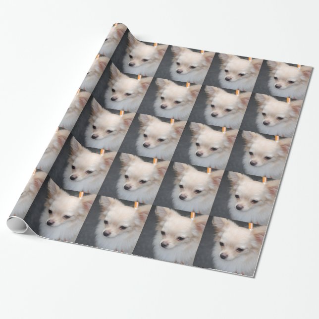 Papel De Regalo Chihuahua (Desenrollado)