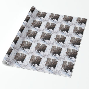 Papel De Regalo Chilly Moose