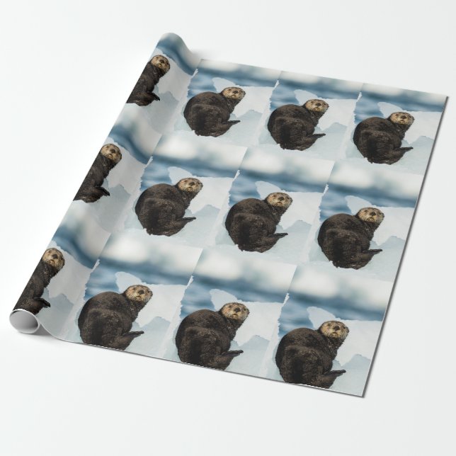 Papel De Regalo Chilly Sea Otter (Desenrollado)