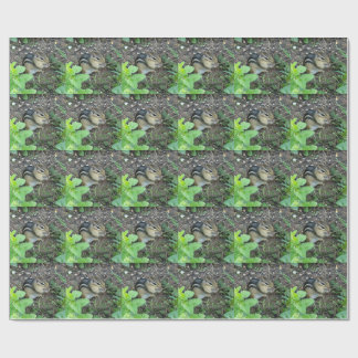 Papel De Regalo Chipmunk In The Garden Eating Seeds