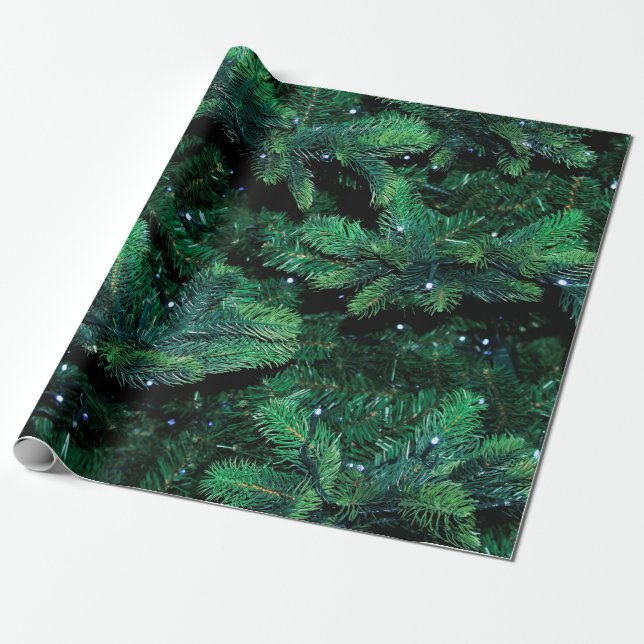 Papel De Regalo Christmas tree twigs sapling pine (Desenrollado)