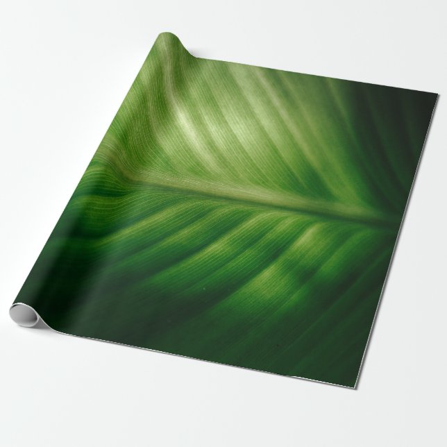 Papel De Regalo Cierre de la hoja verde (Desenrollado)