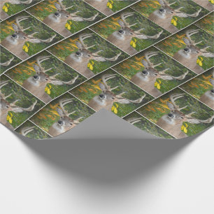 Papel De Regalo ciervo de buck grande en bosques