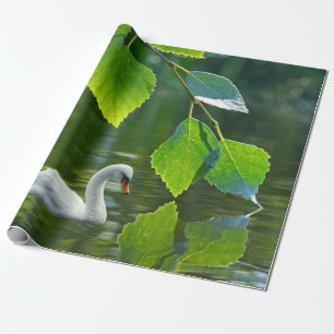 Papel De Regalo Cisne de verano elegante