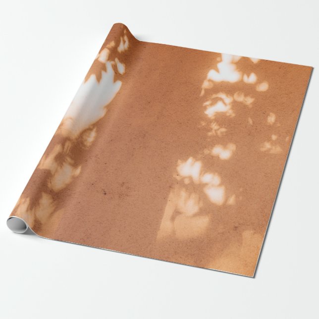 Papel De Regalo Claro (Desenrollado)