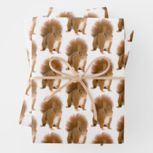 Papel de Regalo Clásico de Ardilla Roja Esponjosa