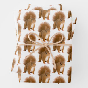 Papel de Regalo Clásico de Ardilla Roja Esponjosa