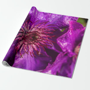 Papel De Regalo Clematis El Presidente
