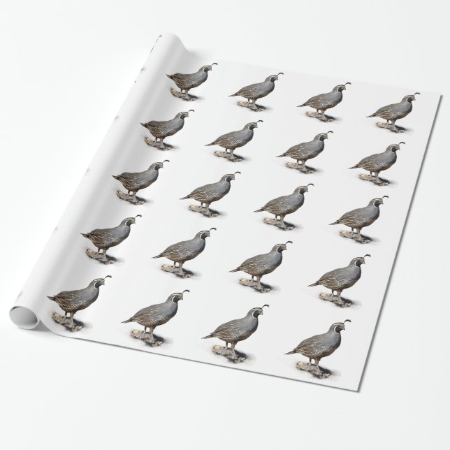 PAPEL DE REGALO CODORNICES DE CALIFORNIA (Desenrollado)