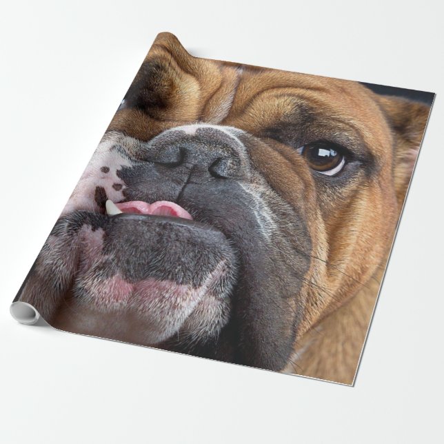 Papel De Regalo Cojín de Bulldog Inglés (Desenrollado)