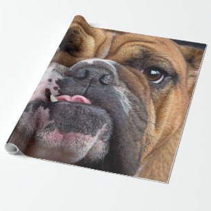 Papel De Regalo Cojín decorativo de Bulldog inglés