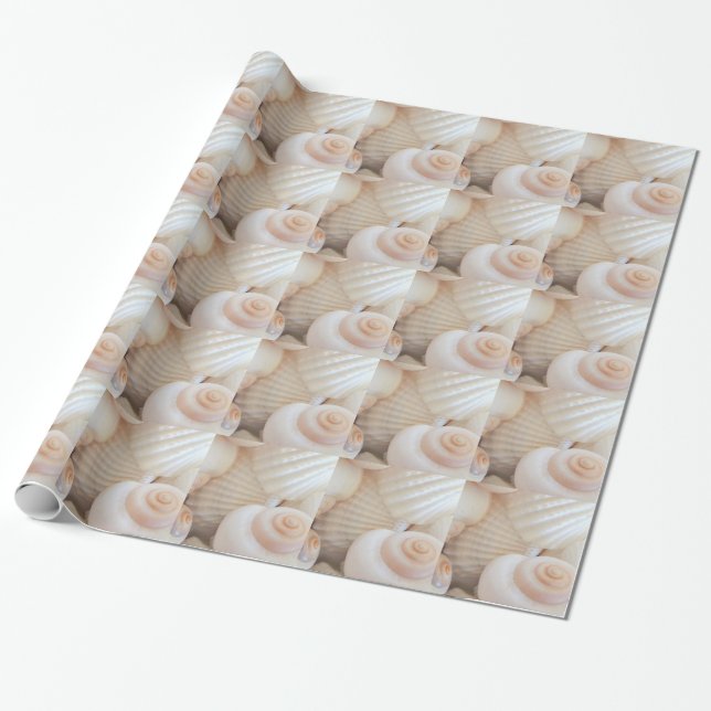 Papel De Regalo Colección de conchas de mar de verano soleado (Desenrollado)