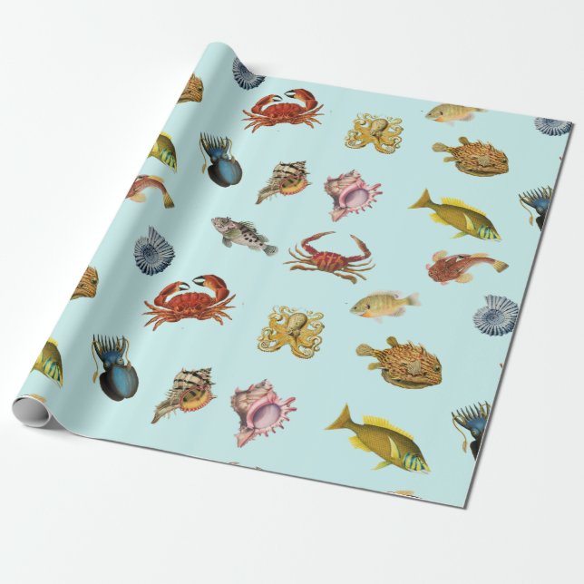 Papel De Regalo Colección de peces y conchas náuticas  (Desenrollado)