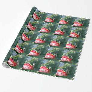 Papel De Regalo Colibrí