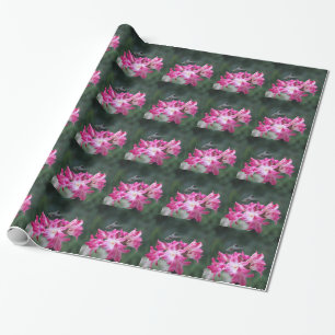 Papel De Regalo Colibrí con lirios de belladonna
