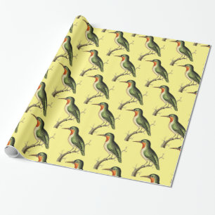 Papel De Regalo Colibrí Perdido Thunder_Cove