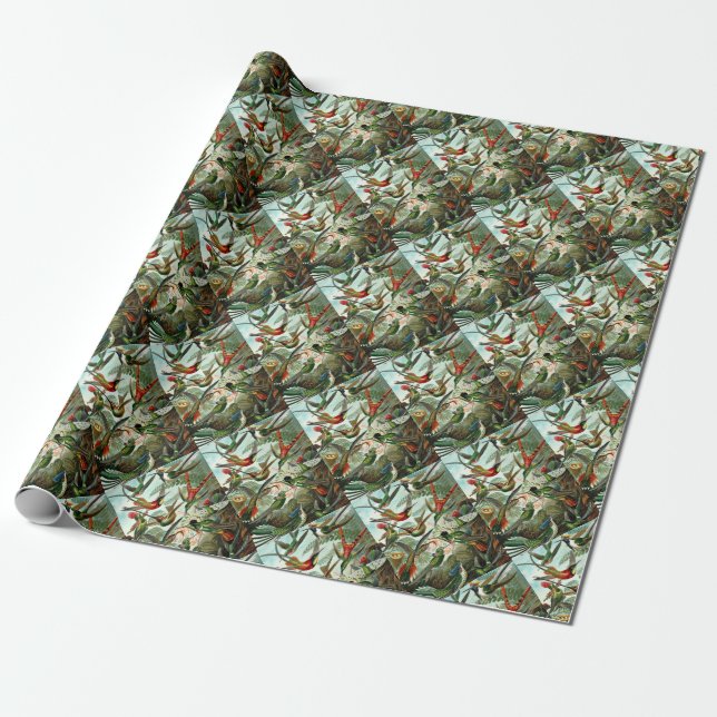 Papel De Regalo Colibríes (Desenrollado)