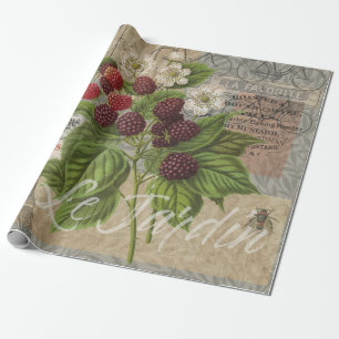 Papel De Regalo Collage de Arte de Efímera Francesa con Moras Vint