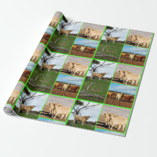 Papel De Regalo Collage de tres imágenes de la vaca Highland,