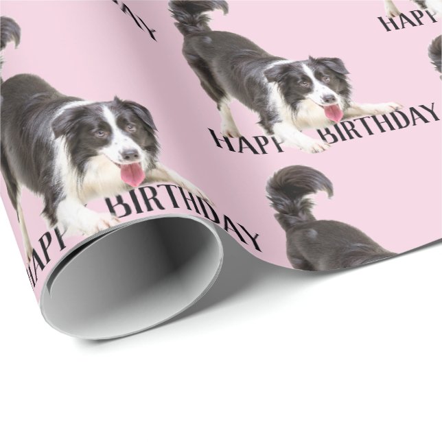 Papel De Regalo Collie de la frontera de cumpleaños en rosa (Esquina del rollo)