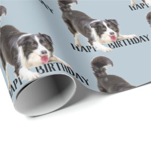 Papel De Regalo Collie fronteriza de cumpleaños en azul