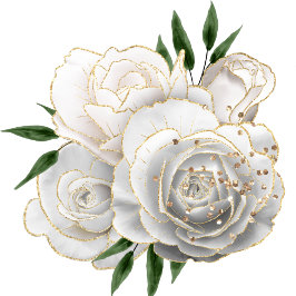 Papel De Regalo Color rojo claro