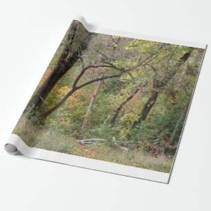 Papel De Regalo Colores de la caída en un bosque