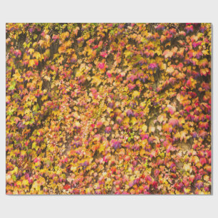 Papel De Regalo Colores dorados de otoño hiedra pared