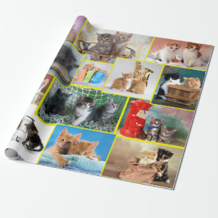 Papel De Regalo Composición de gatitos recortados