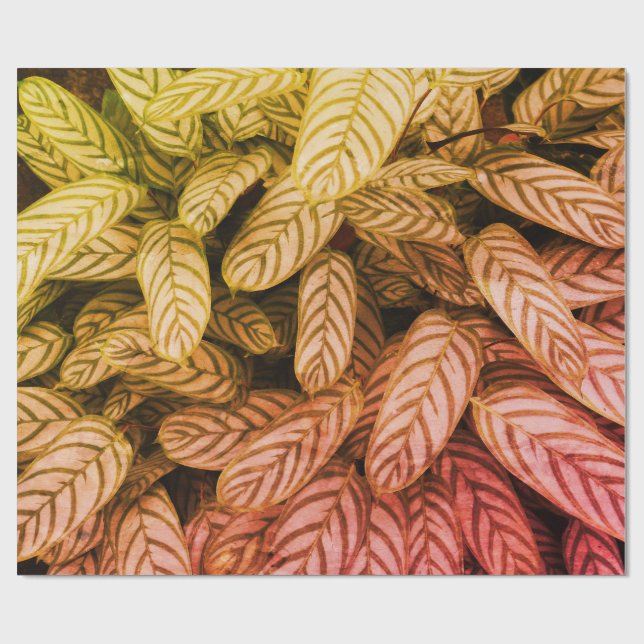 Papel de regalo con patrón de hoja botánica verde (Superficie plana)