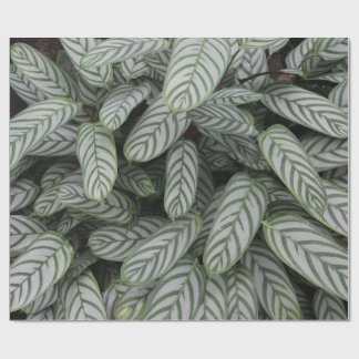 Papel de regalo con patrón de hoja botánica verde