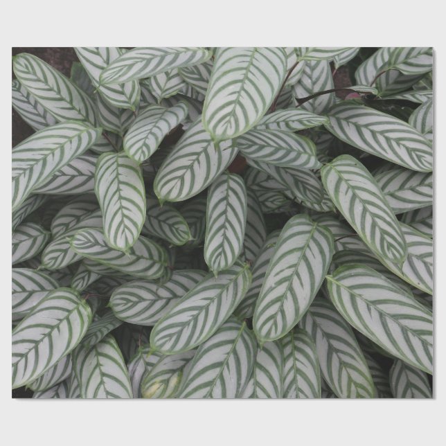 Papel de regalo con patrón de hoja botánica verde (Superficie plana)