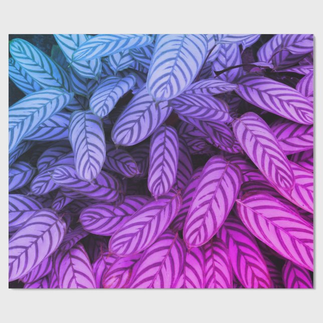 Papel de regalo con patrón de hoja botánica verde (Superficie plana)