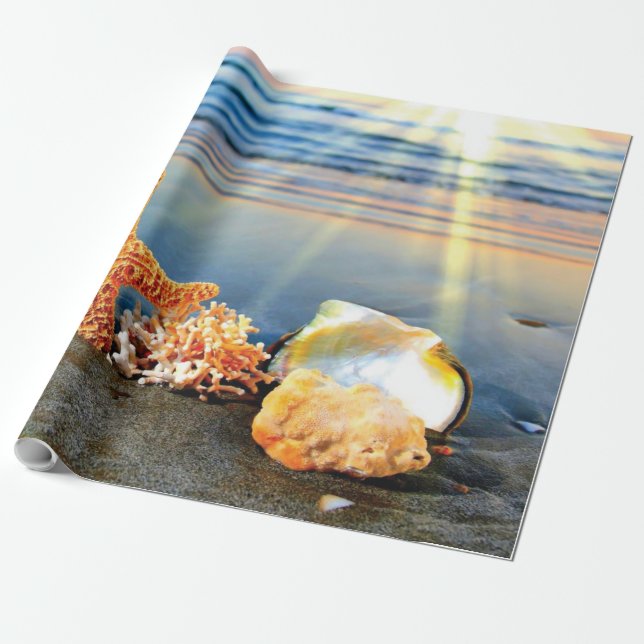 Papel De Regalo conchas de mar y estrellas de mar en la playa (Desenrollado)