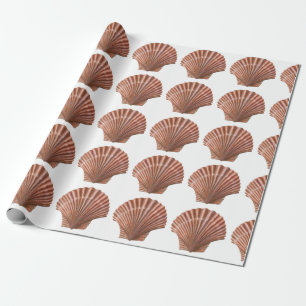Papel De Regalo Conchas de Peine