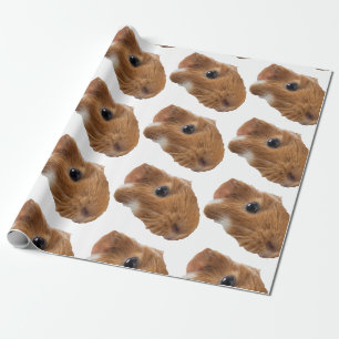 Papel De Regalo conejillo