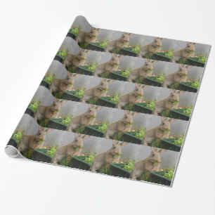Papel De Regalo Conejo